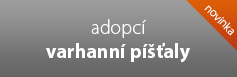 Adopce varhann� p횝aly